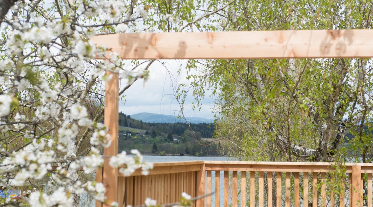 Sankt Georgen am Längsee Weingut Georgium B&B 외부 사진