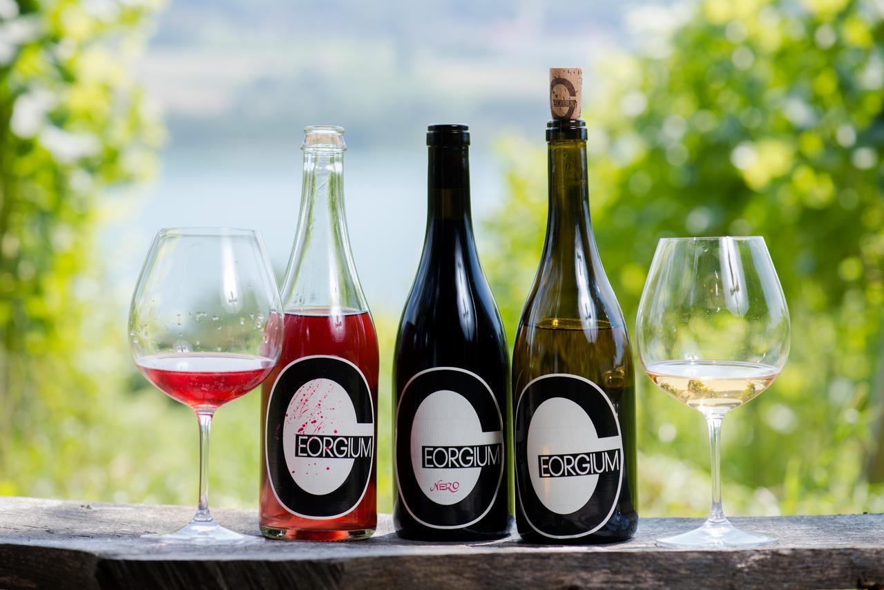 Sankt Georgen am Längsee Weingut Georgium B&B 외부 사진