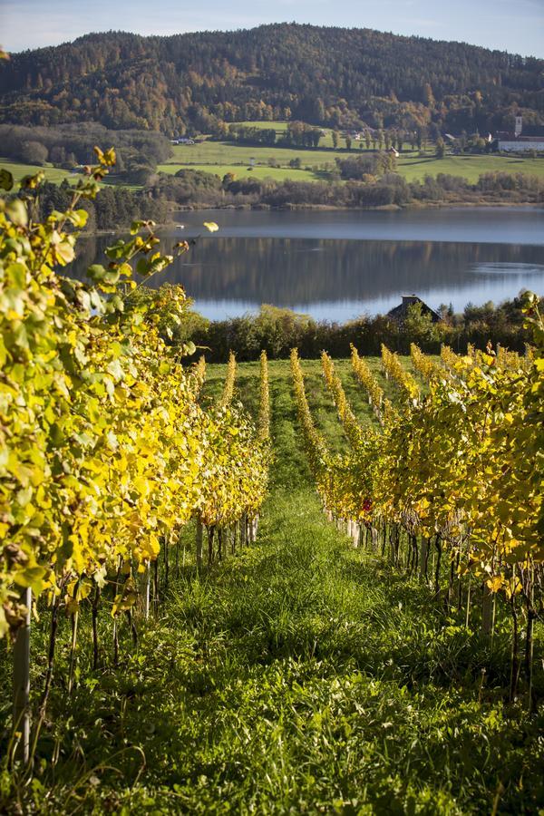 Sankt Georgen am Längsee Weingut Georgium B&B 외부 사진